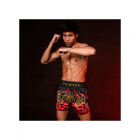 Шорти - Fairtex Muay Thai Shorts Volcano BS1921 - Black/Red